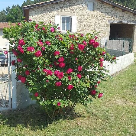 Studio Au Coeur De La Nature Bren Dış mekan fotoğraf