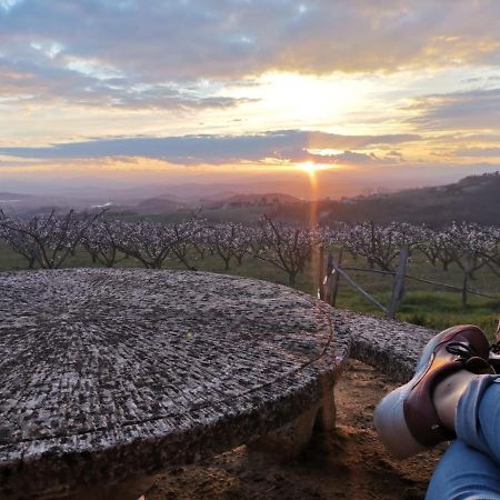 Studio Au Coeur De La Nature Bren Dış mekan fotoğraf