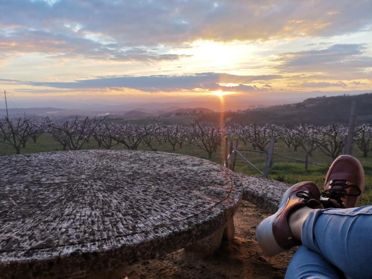 Studio Au Coeur De La Nature Bren Dış mekan fotoğraf